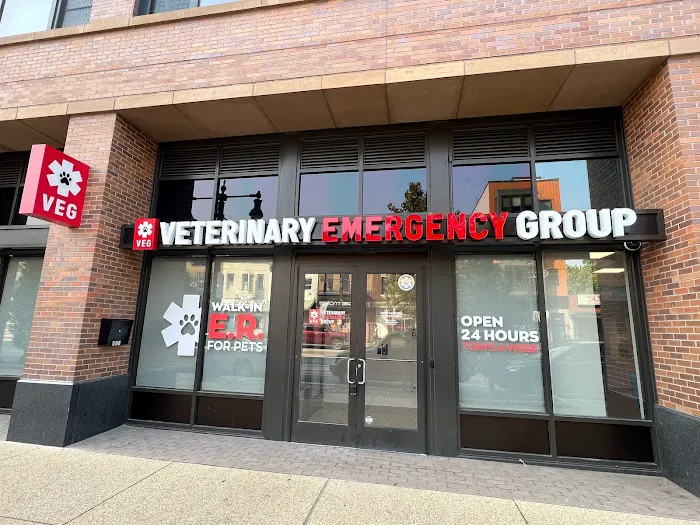 Veterinary Emergency Group 12