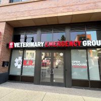 Veterinary Emergency Group ico