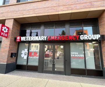 Veterinary Emergency Group