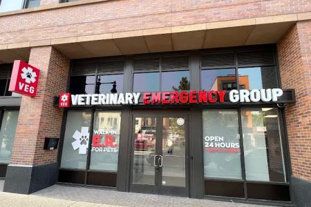 Veterinary Emergency Group