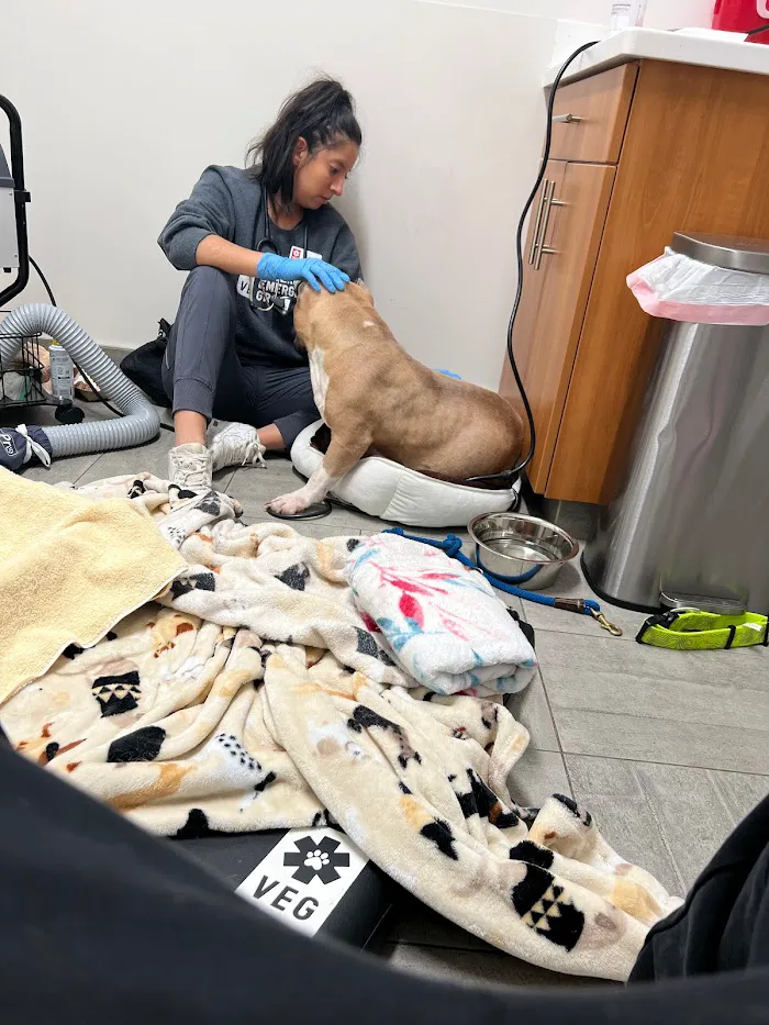 Veterinary Emergency Group 12