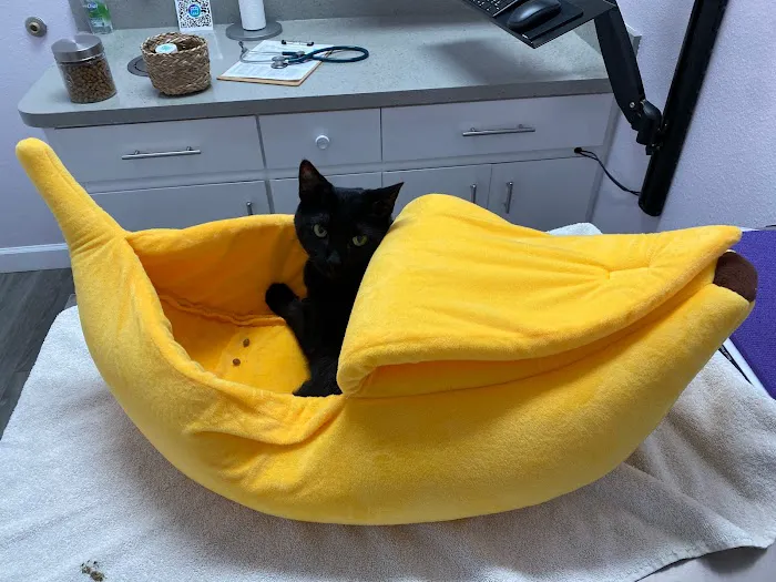 Sunshine Animal Hospital 12