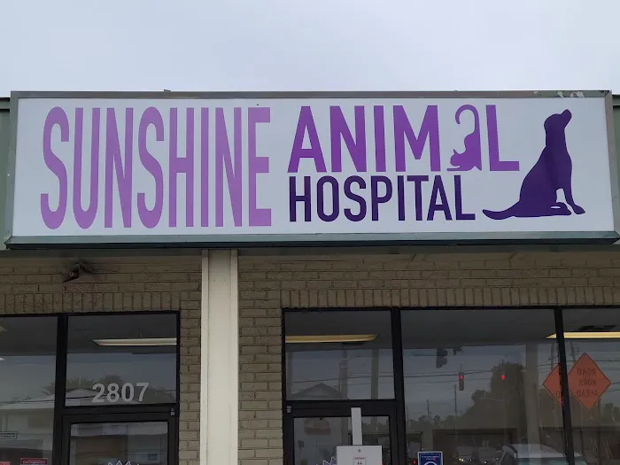 Sunshine Animal Hospital 12