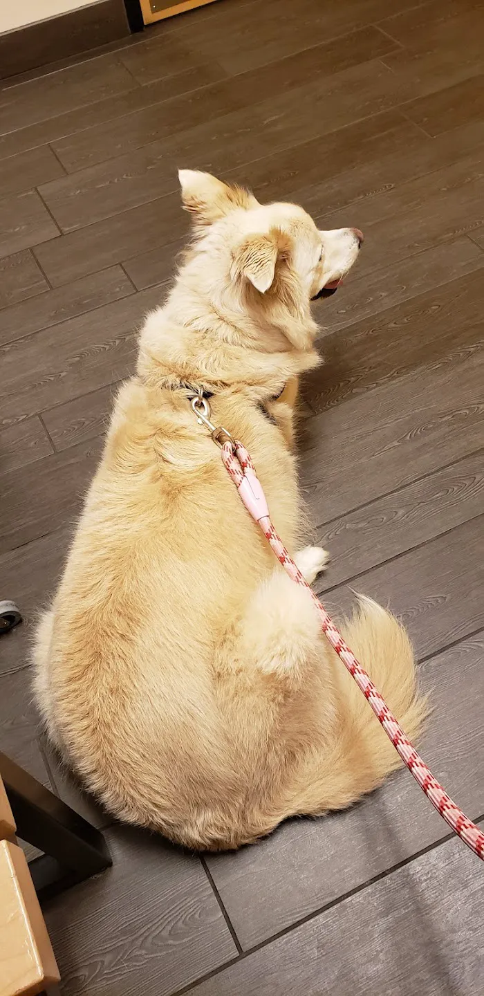Banfield Pet Hospital 12
