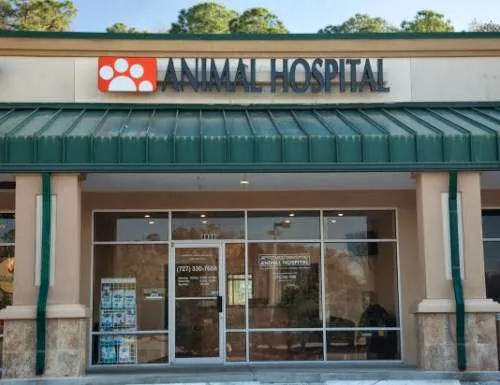 Ridgemoor Animal Hospital 12
