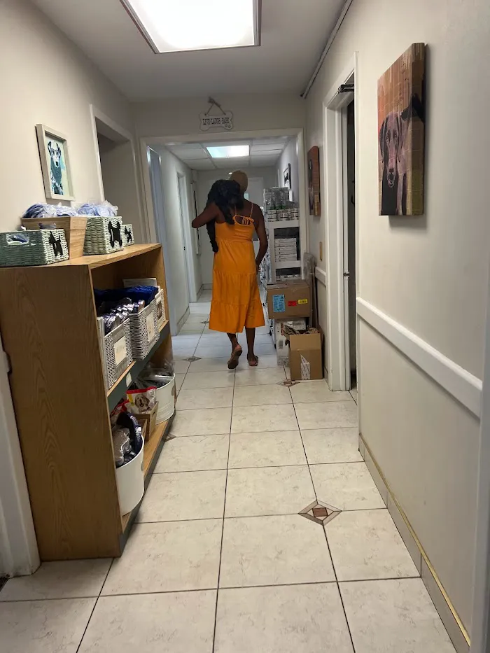 VCA Gulf Bay Animal Hospital 12