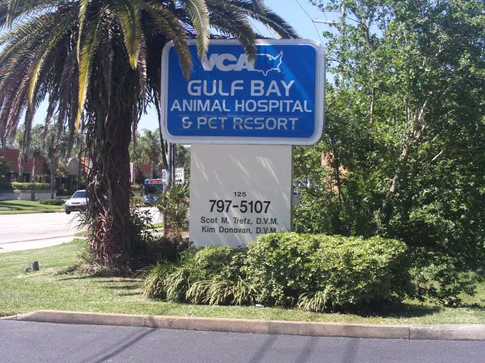 VCA Gulf Bay Animal Hospital 12