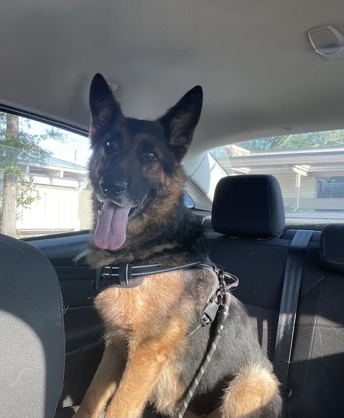 Skycrest Animal Hospital 12