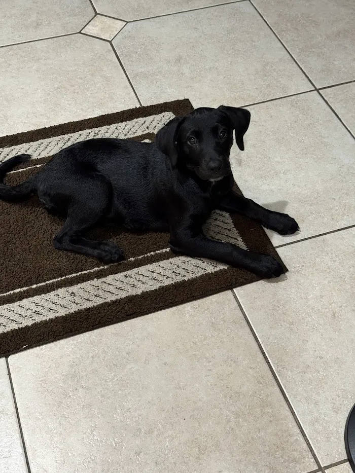 Skycrest Animal Hospital 12