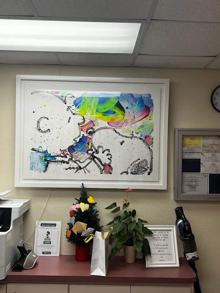Belcher Animal Hospital 12
