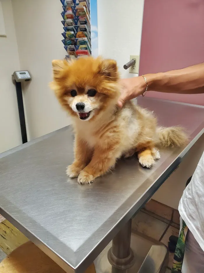 Belcher Animal Hospital 12