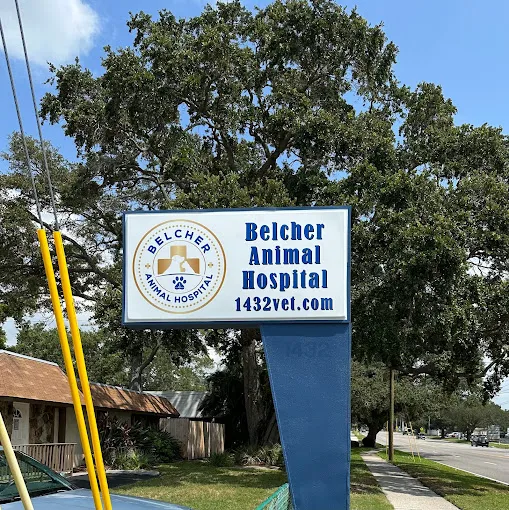 Belcher Animal Hospital 12
