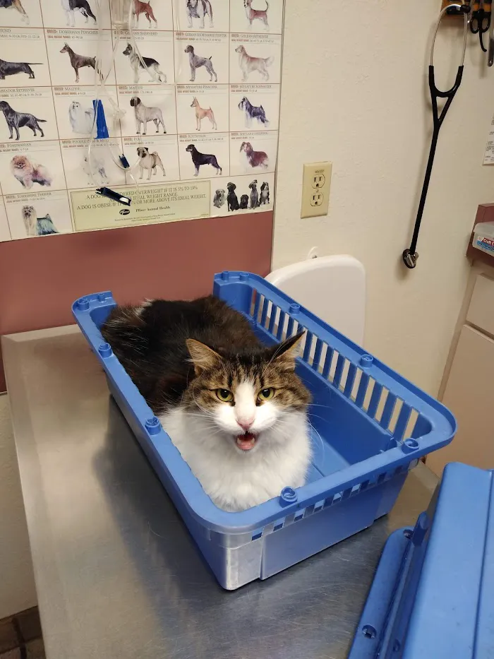 Belcher Animal Hospital 12