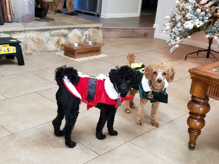 Westlake Animal Hospital 12