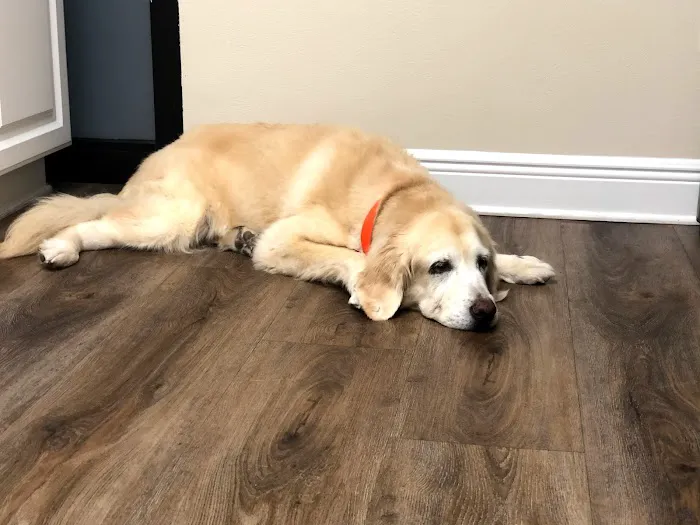AA Animal ER Center 12