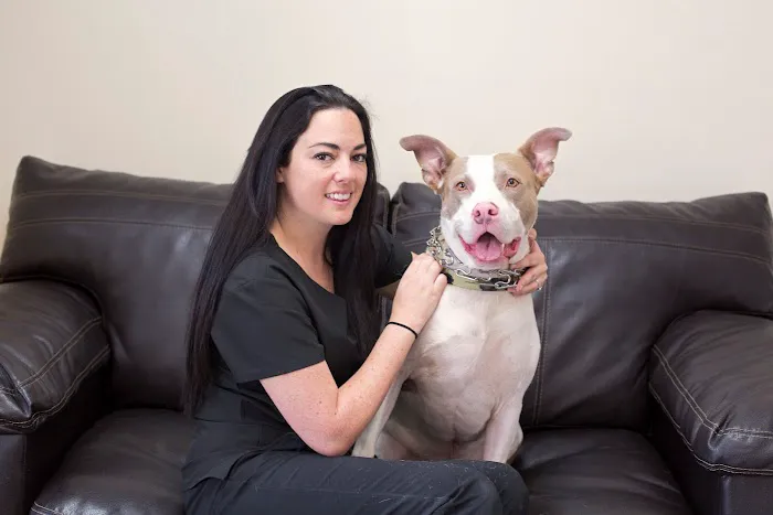 AA Animal ER Center 12