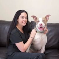 AA Animal ER Center ico