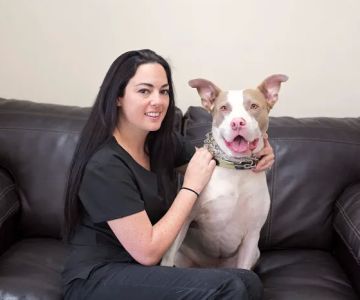 AA Animal ER Center