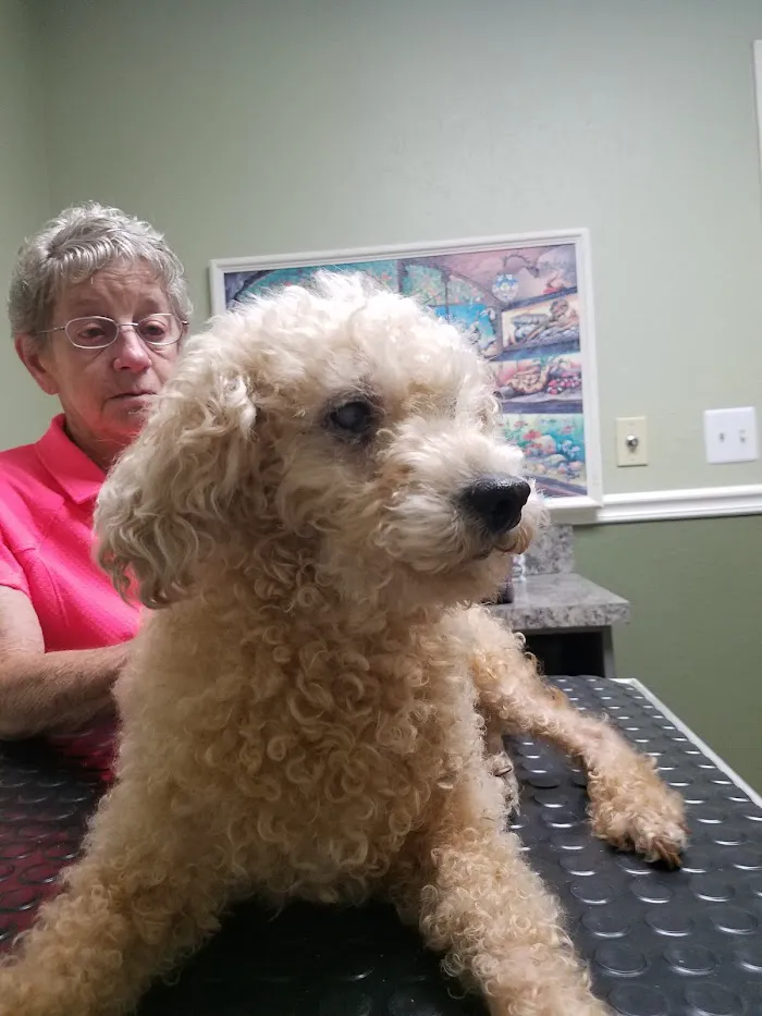 Countryside Animal Hospital 5