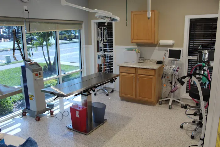 Paws and Claws Animal Medical Center - Dunedin 12