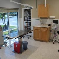 Paws and Claws Animal Medical Center - Dunedin ico
