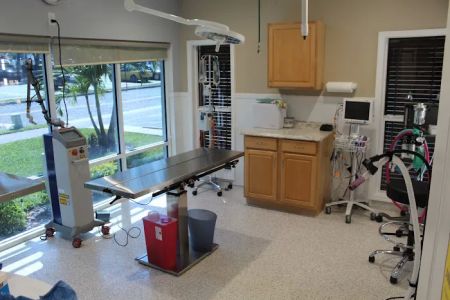 Paws and Claws Animal Medical Center - Dunedin
