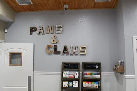Paws and Claws Animal Medical Center - Dunedin 12