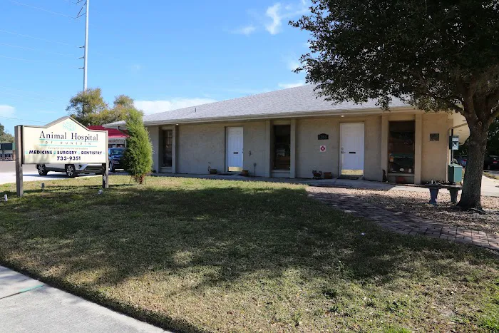 Animal Hospital of Dunedin 12