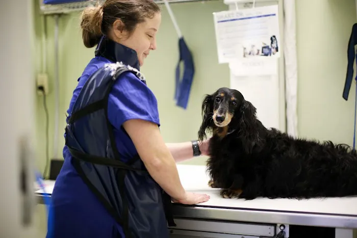 Animal Hospital of Dunedin 12