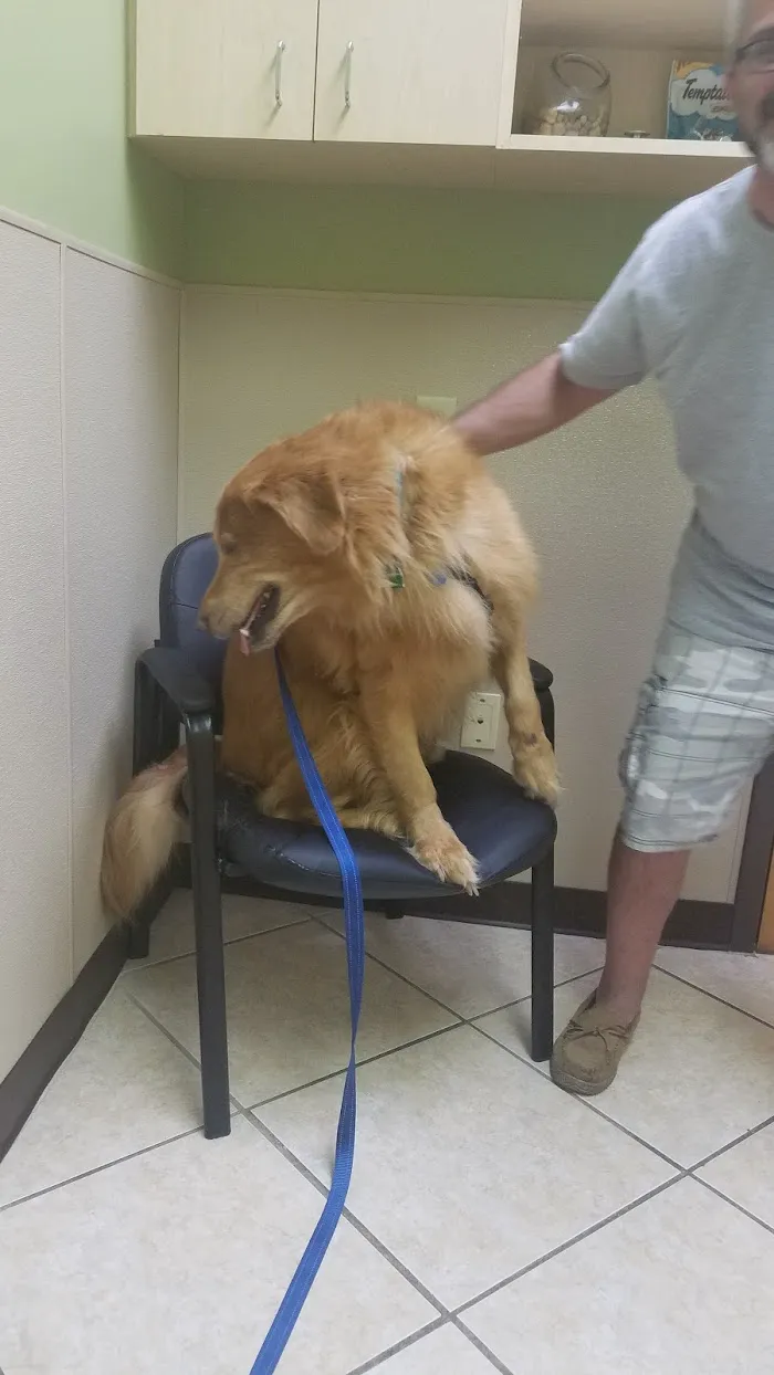 Enterprise Rd Animal Hospital, Dr Carlos Pola 12