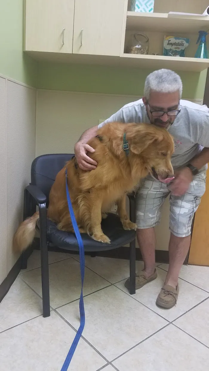 Enterprise Rd Animal Hospital, Dr Carlos Pola 12