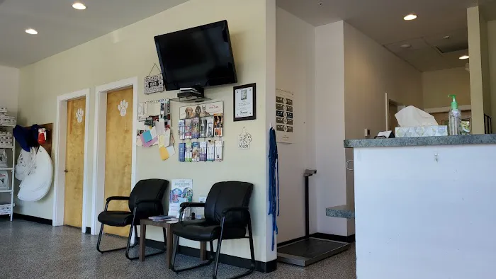 Harborside Animal Hospital 12