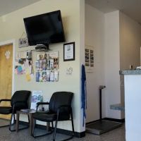 Harborside Animal Hospital ico