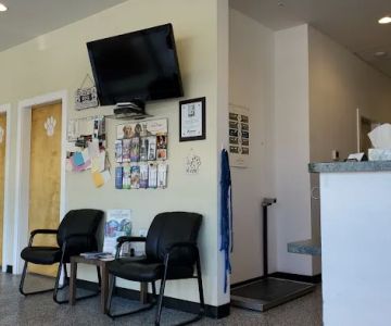Harborside Animal Hospital
