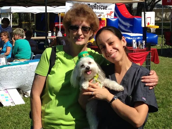 Harborside Animal Hospital 12