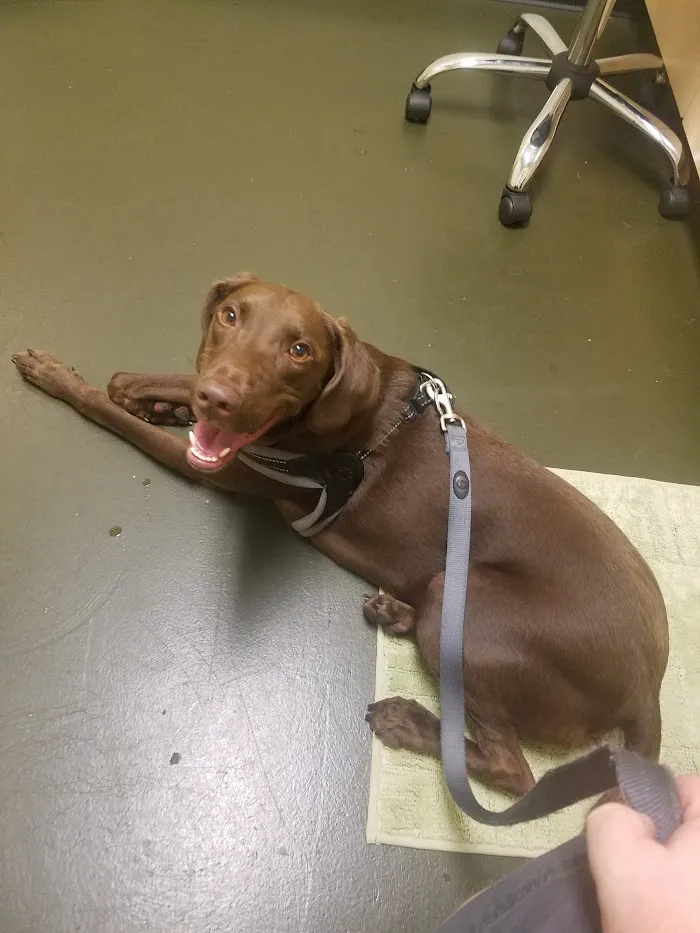 Harborside Animal Hospital 12