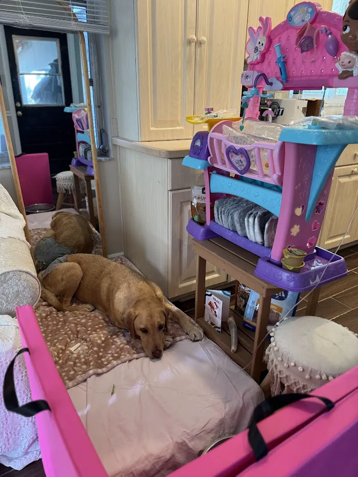 Sunset Point Animal Hospital 12