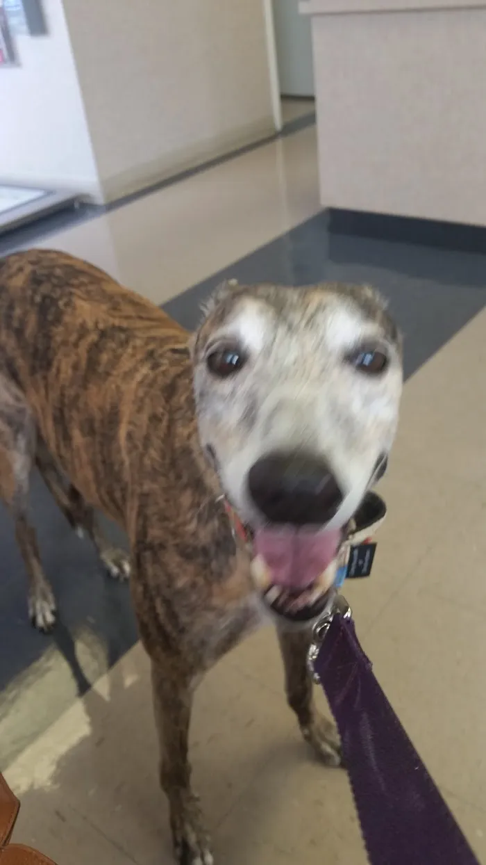 Sunset Point Animal Hospital 12