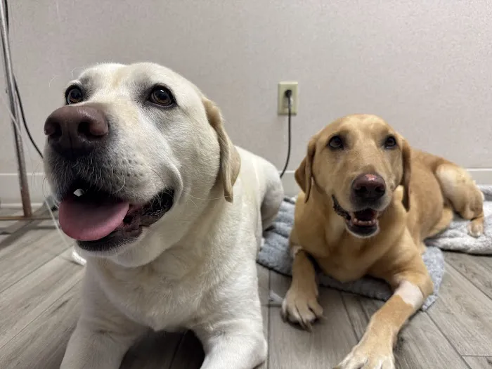 Sunset Point Animal Hospital 12