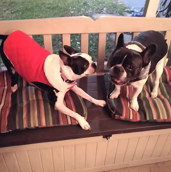 Sunset Point Animal Hospital 12