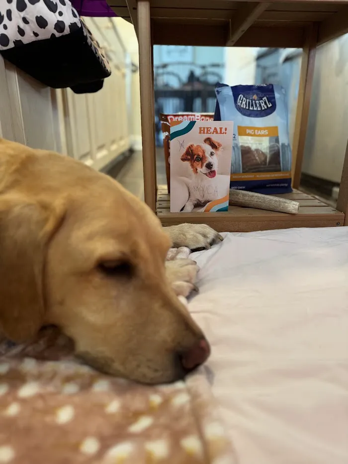 Sunset Point Animal Hospital 12