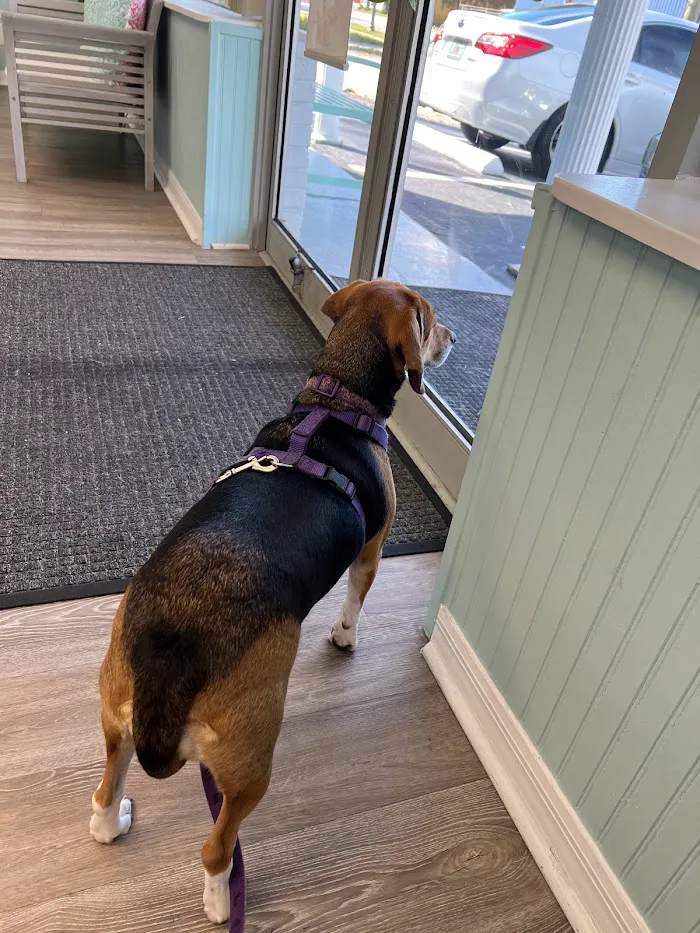 Coastal Veterinary Care 12