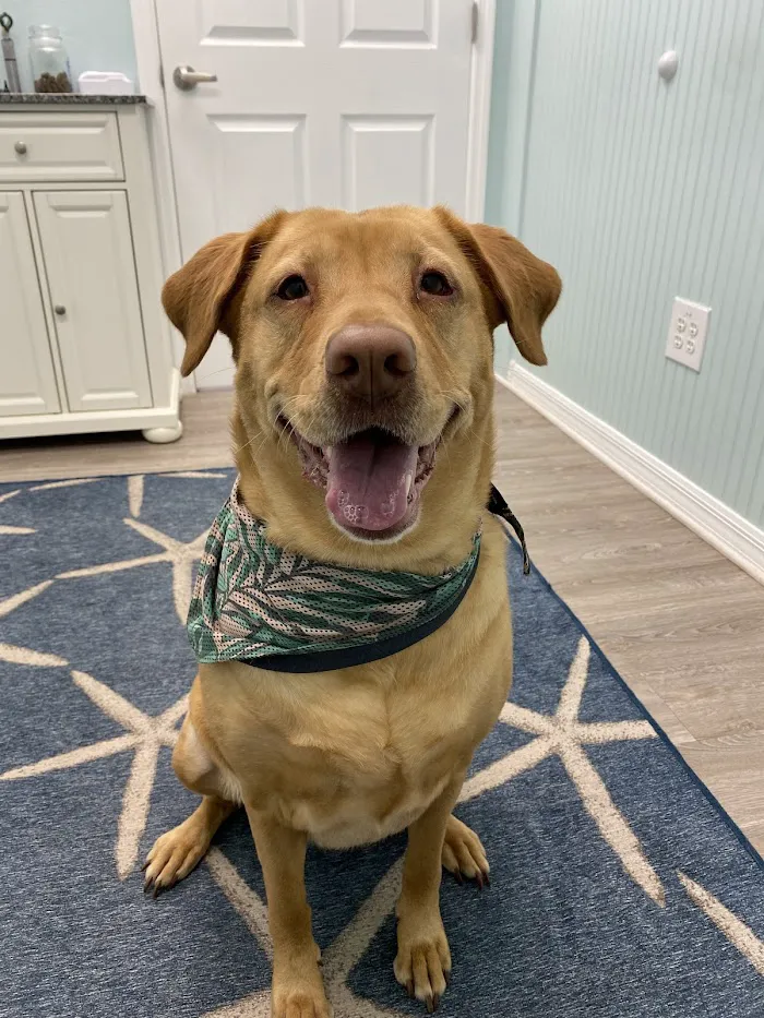Coastal Veterinary Care 12