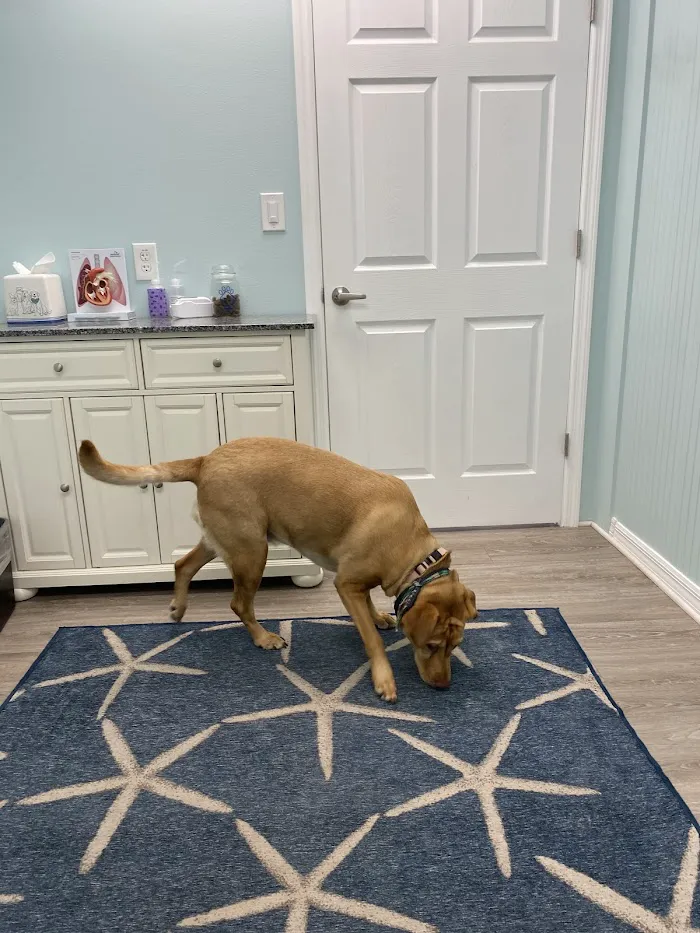 Coastal Veterinary Care 12
