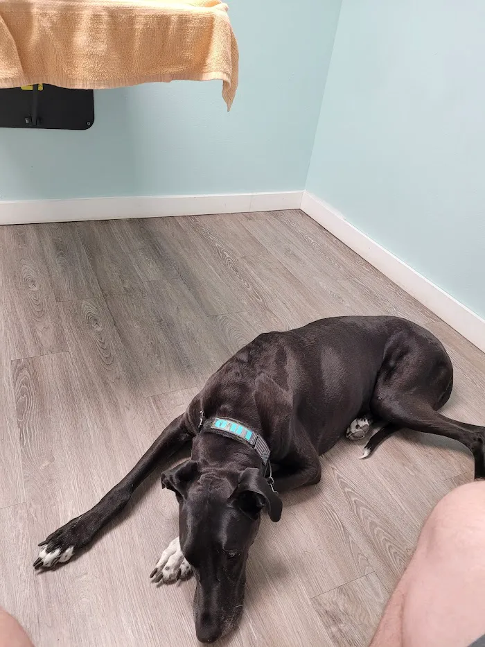 Coastal Veterinary Care 12