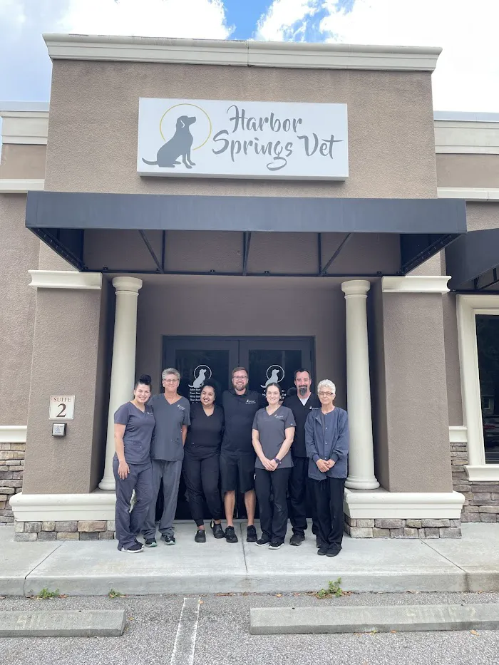 Harbor Springs Vet 12