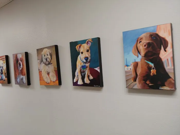 Animal Health Care Clinic 12