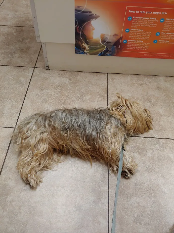 Animal Health Care Clinic 12