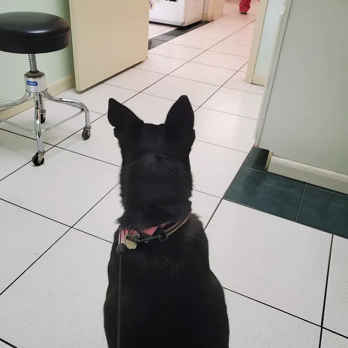 My Pet Animal Hospital Inc 12