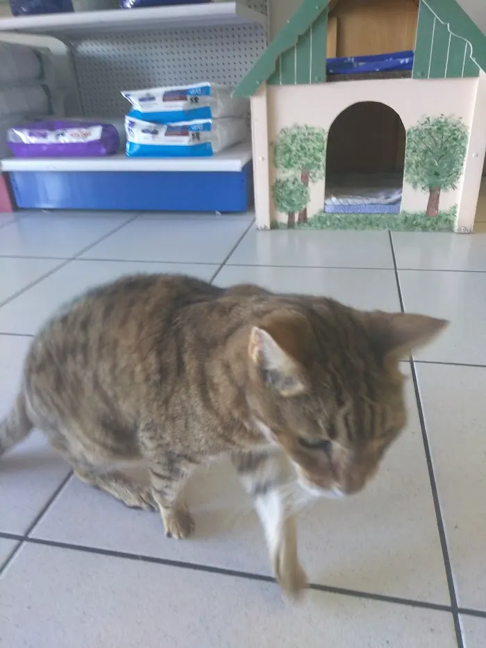 My Pet Animal Hospital Inc 12